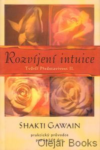 Rozvíjení intuice