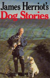 Dog Stories