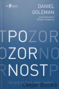 Pozornost