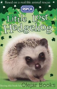 Little Lost Hedgehog