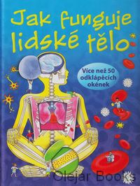 Jak funguje lidské tělo