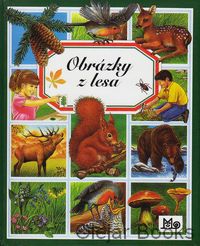 Obrázky z lesa