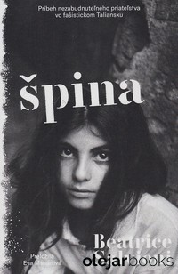Špina