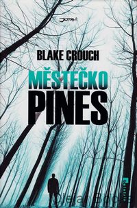 Městečko Pines