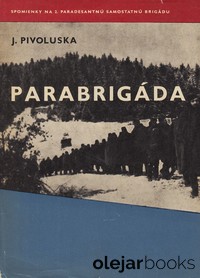 Parabrigáda