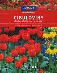 Cibuloviny