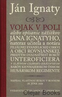Vojak v poli