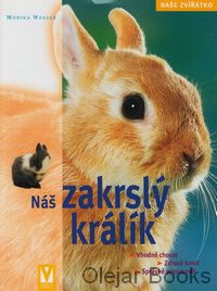 Náš zakrslý králík