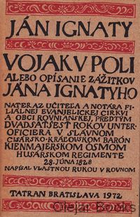 Vojak v poli