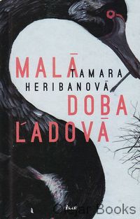 Malá doba ľadová