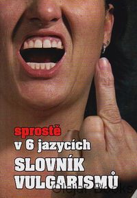 Slovník vulgarismů