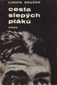 Cesta slepých ptáků
