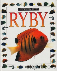 Ryby