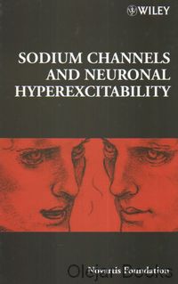 Sodium Channels and Neuronal Hyperexcitability 