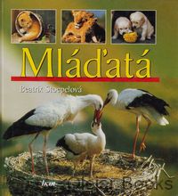 Mláďatá