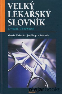 Velký lékařský slovník