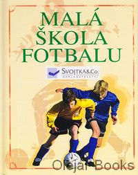 Malá škola fotbalu