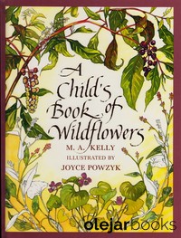 A Child's Book of Wildflowers