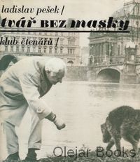 Tvář bez masky