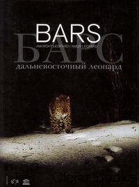 BARS: Amurský Leopard
