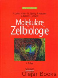 Molekulare zellbiologie