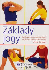 Základy jogy
