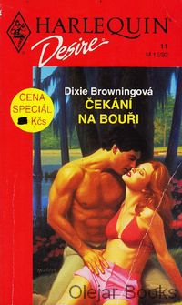 Čekání na bouři
