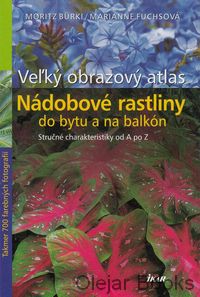 Nádobové rastliny do bytu a na balkón