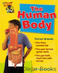 The Human Body