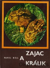 Zajac a králik