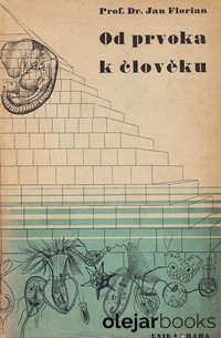 Od prvoka k človeku