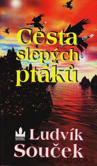 Cesta slepých ptáků
