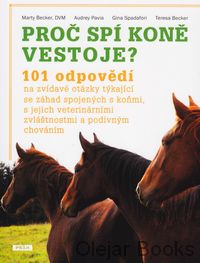 Proč spí koně vestoje?