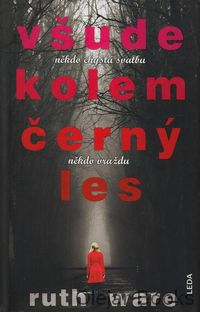 Všude kolem černý les