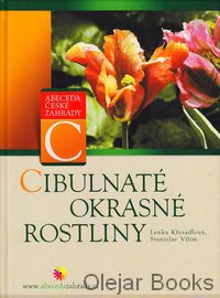Cibulnaté okrasné rostliny