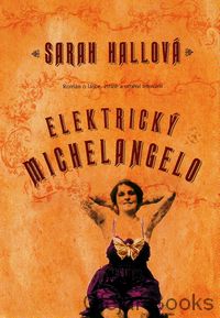 Elektrický Michelangelo