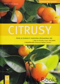 Citrusy