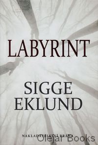 Labyrint