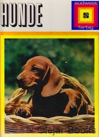 Hunde