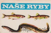 Naše ryby