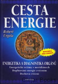 Cesta energie