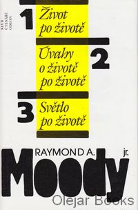 Život po životě, Úvahy o životě po životě, Světlo po životě