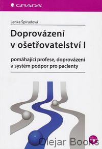Doprovázení v ošetřovatelství I 