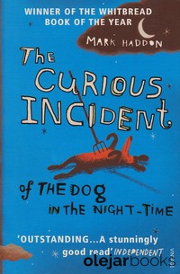 The Curious Incident of the Dog in the Night-Time