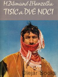 Tisíc a dvě noci