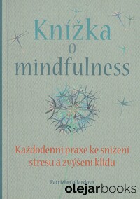 Knížka o mindfulness