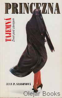Tajemná princezna