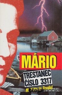 Mário, trestanec číslo 3317
