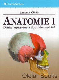 Anatomie 1.