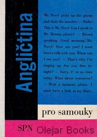 Angličtina pro samouky